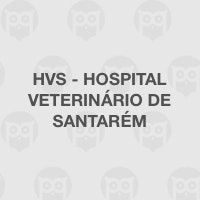 HVS - Hospital Veterinário de Santarém
