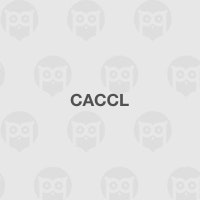 CACCL