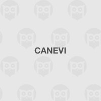 Canevi