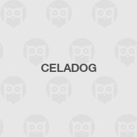 Celadog