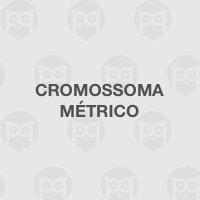 Cromossoma Métrico