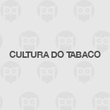 Cultura do Tabaco