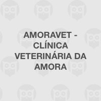 Amoravet - Clínica Veterinária da Amora