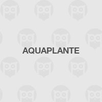 Aquaplante