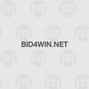 Bid4win.net