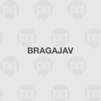 Bragajav