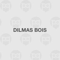 Dilmas Bois