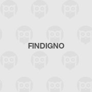 Findigno