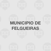 Municipio de Felgueiras