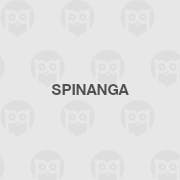 Spinanga Casino Logo