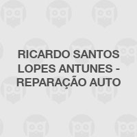 Ricardo Santos Lopes Antunes - Reparação Auto