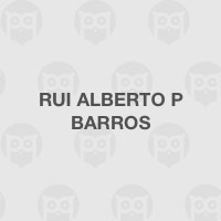 Rui Alberto P Barros